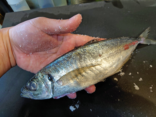 俺のコラボカフェ Menu 033 ゼルダの伝説 ブレス オブ ザ ワイルド に出てくる焼き魚がおいしそうな件 俺のコラボカフェ Menu 033 ゼルダの伝説 ブレス オブ ザ ワイルド に出てくる焼き魚がおいしそうな件