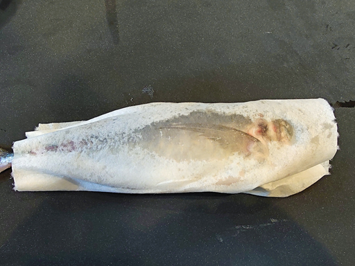 ꡼ No.009Υͥ / ΥܥեMenu 033 ֥ ֥쥹   磻ɡפ˽ФƤƤʷ