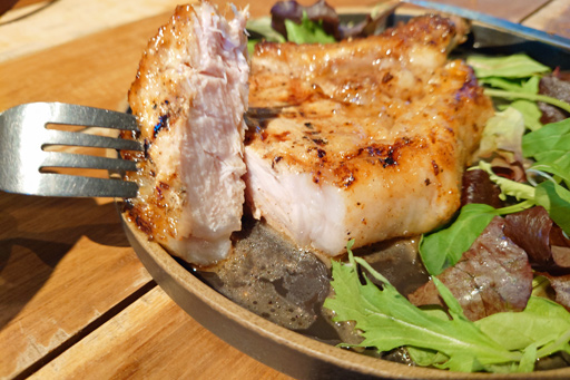 ꡼ No.009 | ΥܥեMenu 034Apex Legendsסߥ顼βȷϤ塹ݡåפ