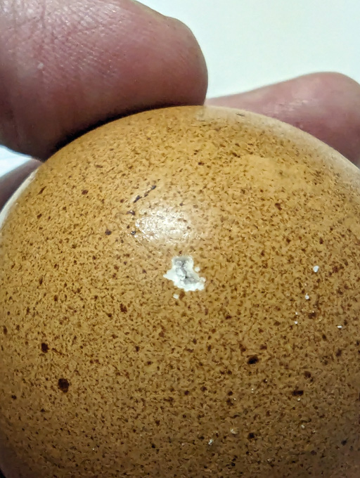 ꡼ No.007 | ȾϱͺפΥ٥륨åñ˺äˡȤϡΥܥեMenu 061