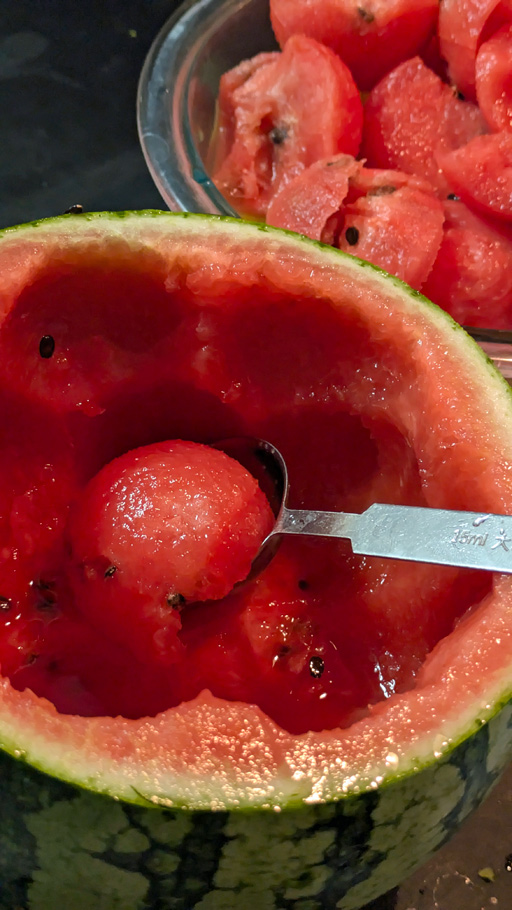 ꡼ No.003 | ֥פΥե롼Ĥ줿ͤΥե롼ĥݥǲƤνڤࡣΥܥեMenu 067