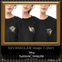 ���������꡼ No.001�Υ���ͥ������ / �֥ǥ����ˡ� �ĥ����ƥåɥ��������ɡפΥʥ��ȥ쥤�֥󥫥�å��������᡼��T����Ĥ˥��Хʥ������ʤɤ��о�