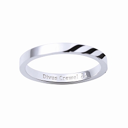 画像ギャラリー No.009のサムネイル画像 / 「ディズニー ツイステッドワンダーランド」,登場キャラクターをイメージしたシルバーリングの受注販売が開始