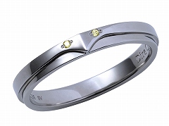 ֥ǥˡ ĥƥåɥɡסо쥭饯򥤥᡼С󥰤μ䤬