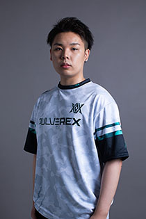 ꡼ No.002Υͥ / ֽץޡեFile.217HammerDrillApex Legends