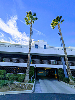 ꡼ No.029 | 5ǯޤApex Legendsפ20ȥ֥쥤ȡɤRespawnܼҤǥåƤ