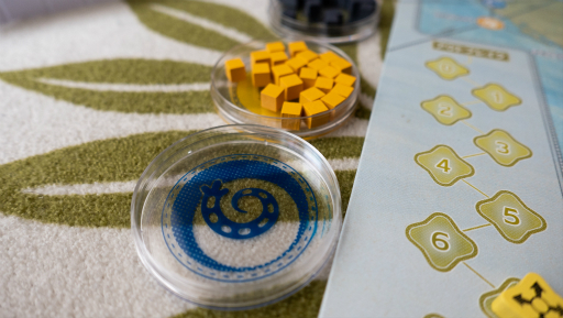 ꡼ No.119 | ȤΥܥɥ 6󡧴򿩤ߤ٤¸Τ臘Ϸܡɥ֥ѥǥߥåʤ