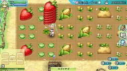 ꡼ No.002 | 롼եȥ꡼4 ڥ