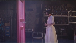 ���������꡼ No.003�Υ���ͥ������ / ���� �֤��󤬽б餹��֥ɥ館��� �Τ������Ҿ�ʪ��פμ¼�CM�ȥᥤ���󥰱���������