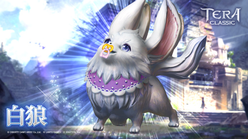 ���������꡼ No.003�Υ���ͥ������ / �֥ƥ饯�饷�å���TVCM��2�Ƥ����������������ʪ����դ��о�