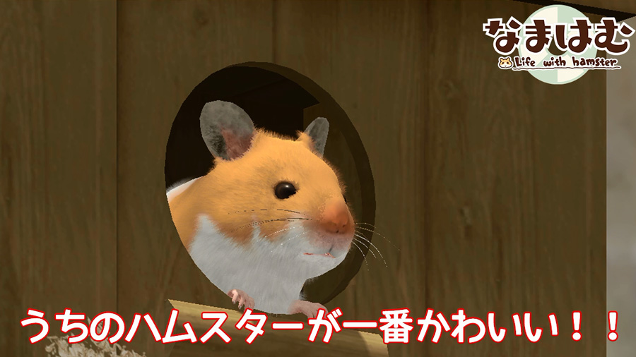 画像集 003 ハムスター飼育アプリ なまはむ の紹介動画が公開 事前登録