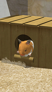 ꡼ No.003 | ϥॹ饢ץ֤ʤޤϤפλϿԿ5000ͤˡŵɲä