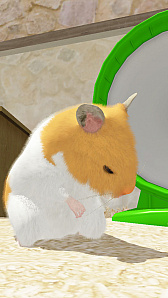 ꡼ No.004 | ϥॹ饢ץ֤ʤޤϤפλϿԿ5000ͤˡŵɲä