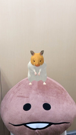 ꡼ No.001Υͥ / ޥ۸ϥॹ饢ץ֤ʤޤϤפӥϡʬΥϥॹ򿴤椯ޤǲİ