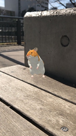 ꡼ No.003Υͥ / ޥ۸ϥॹ饢ץ֤ʤޤϤפӥϡʬΥϥॹ򿴤椯ޤǲİ