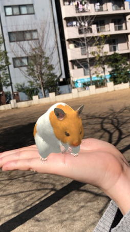 ꡼ No.004Υͥ / ޥ۸ϥॹ饢ץ֤ʤޤϤפӥϡʬΥϥॹ򿴤椯ޤǲİ