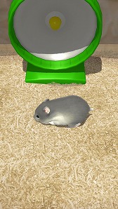 画像ギャラリー No.003のサムネイル画像 / ハムスター飼育アプリ「なまはむ」にジャンガリアンハムスターが登場