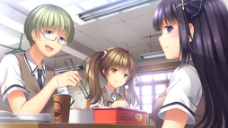 ꡼ No.004 | ֻ-Tricolour Lovestory-פPS4ѥơޤ̵ۿ