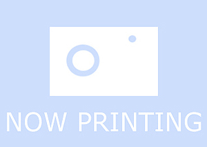 ꡼ No.007Υͥ / GUILTY GEARפȡGGXXACRפåȤˤʤä20ǯǰѥåSwitch516ȯء500åȤΤθǤ