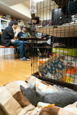 ꡼ No.016Υͥ / PRʬߤ֥å奢ॺױĲҥɥ˥μCOO  ͺإ󥿥ӥ塼4Ĥο餫