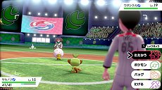 ꡼ No.014 | ֥ݥåȥ󥹥 ɡɡסʥեɤǤ䡤ݥ󤬵粽֥ޥåפʤɡοǤ