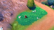 ꡼ No.029 | ֥ݥåȥ󥹥 ɡɡסʥեɤǤ䡤ݥ󤬵粽֥ޥåפʤɡοǤ