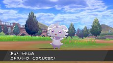 ꡼ No.030 | ֥ݥåȥ󥹥 ɡɡסʥեɤǤ䡤ݥ󤬵粽֥ޥåפʤɡοǤ