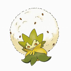 ꡼ No.031 | ֥ݥåȥ󥹥 ɡɡסʥեɤǤ䡤ݥ󤬵粽֥ޥåפʤɡοǤ