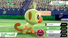 ꡼ No.057 | ֥ݥåȥ󥹥 ɡɡסʥեɤǤ䡤ݥ󤬵粽֥ޥåפʤɡοǤ