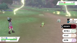 画像ギャラリー No.016のサムネイル画像 / 「ポケットモンスター ソード・シールド」に新たなジムリーダー「ルリナ」が登場。4人で挑める「マックスレイドバトル」の情報も