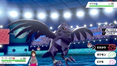 ꡼ No.004Υͥ / ֥ݥåȥ󥹥 ɡɡפо줹ΥݥΤߤȯ븽ݡ֥ޥåפξ󤬸