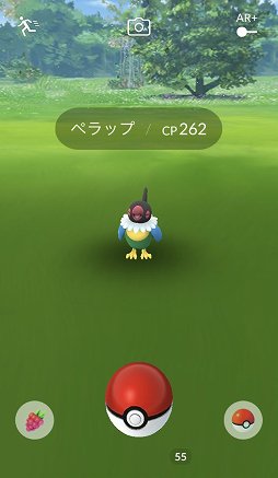 ꡼ No.022Υͥ / ֥ԥ奦ȯ奦2019פť奦Pok&#00233;mon GO Fest Yokohama 2019פͤʻƤϤ