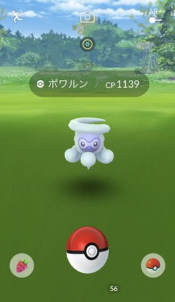 ꡼ No.023Υͥ / ֥ԥ奦ȯ奦2019פť奦Pok&#00233;mon GO Fest Yokohama 2019פͤʻƤϤ