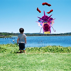 ꡼ No.005Υͥ / ֥ݥ ɡɡפοǤƸWebƥġ֥ޥåפǵ粽ݥ̿˹