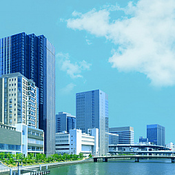 ꡼ No.011Υͥ / ֥ݥ ɡɡפοǤƸWebƥġ֥ޥåפǵ粽ݥ̿˹