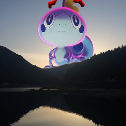 ꡼ No.012 | ʬäʤ˸ޥåݥ綽ʳޥ֥ۡåȸƥġPok&#233;mon ޥåθݡ