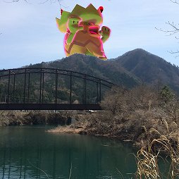 ꡼ No.022 | ʬäʤ˸ޥåݥ綽ʳޥ֥ۡåȸƥġPok&#233;mon ޥåθݡ