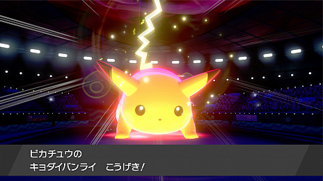 ꡼ No.013 | ֥ݥåȥ󥹥 ɡɡסޥåΤΥԥ奦ꥶɥ󡤥֥˥㡼Хե꡼о