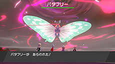 ���������꡼ No.005�Υ���ͥ������ / �֥ݥ��åȥ�󥹥��� �����ɡ�������ɡס�����Υ�������ޥå����ݥ����Ƚв񤤤䤹���ʤ������Ƚ�ɸ������ʤɤξ��󤬸���