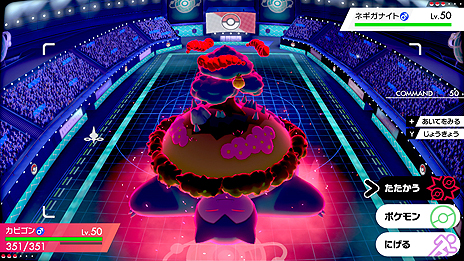 ꡼ No.007 | ֥ݥåȥ󥹥 ɡɡסޥå֥ӥפޥå쥤ɥХȥ1242020ǯ1ܤޤо