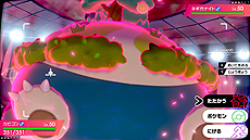 ꡼ No.010 | ֥ݥåȥ󥹥 ɡɡסޥå֥ӥפޥå쥤ɥХȥ1242020ǯ1ܤޤо