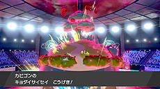 ꡼ No.011 | ֥ݥåȥ󥹥 ɡɡסޥå֥ӥפޥå쥤ɥХȥ1242020ǯ1ܤޤо