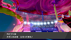 ꡼ No.012 | ֥ݥåȥ󥹥 ɡɡסޥå֥ӥפޥå쥤ɥХȥ1242020ǯ1ܤޤо