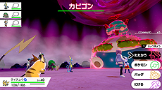 ꡼ No.016 | ֥ݥåȥ󥹥 ɡɡסޥå֥ӥפޥå쥤ɥХȥ1242020ǯ1ܤޤо