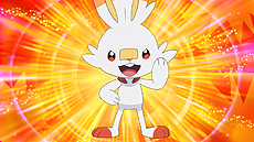 ꡼ No.018 | ֥ݥåȥ󥹥 ɡɡסޥå֥ӥפޥå쥤ɥХȥ1242020ǯ1ܤޤо