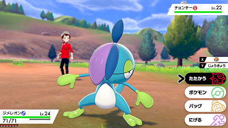 ꡼ No.035 | ֥ݥåȥ󥹥 ɡɡסޥå֥ӥפޥå쥤ɥХȥ1242020ǯ1ܤޤо