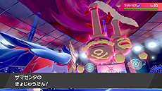 ꡼ No.048 | ֥ݥåȥ󥹥 ɡɡסޥå֥ӥפޥå쥤ɥХȥ1242020ǯ1ܤޤо