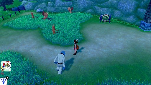 ꡼ No.005 | ֥ݥåȥ󥹥 ɡɡפ֤ιԡݥ󤿤򸫤