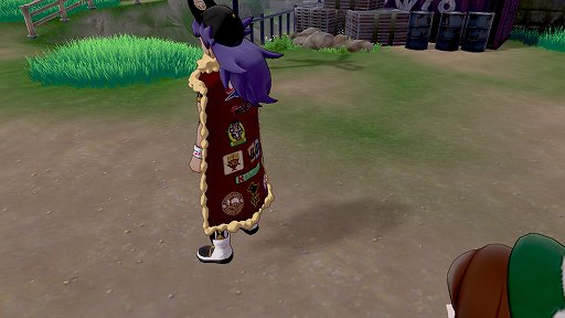 画像ギャラリー No.015のサムネイル画像 / 「ポケットモンスター ソード・シールド」ぶらり旅・後編。ガラル地方に生きるポケモンたちを見る