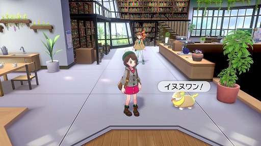 ポケットモンスター ソード シールド ぶらり旅 後編 ガラル地方に生きるポケモンたちを見る